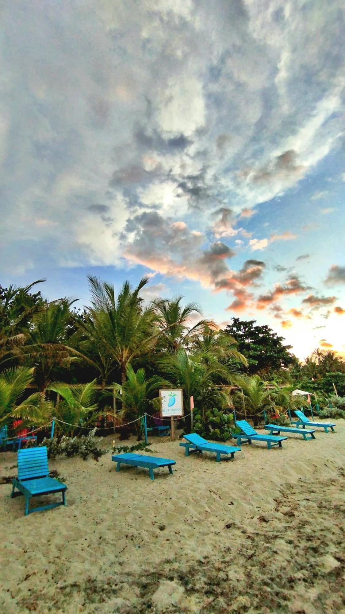 Blue Mango Beach Hotel Guachaca Екстериор снимка